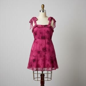 HelloMolly Pink Rose Chiffon Mini Dress M Y2K Coquette Sheer Floral Babydoll NWT